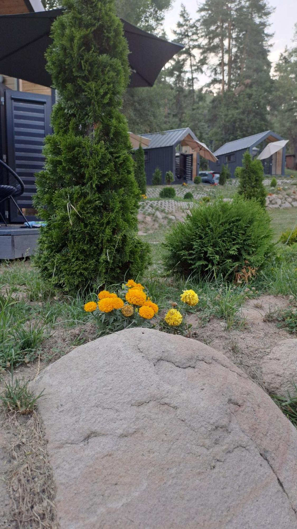فندق Saint Constantine Mountain Retreat بيشتيرا المظهر الخارجي الصورة